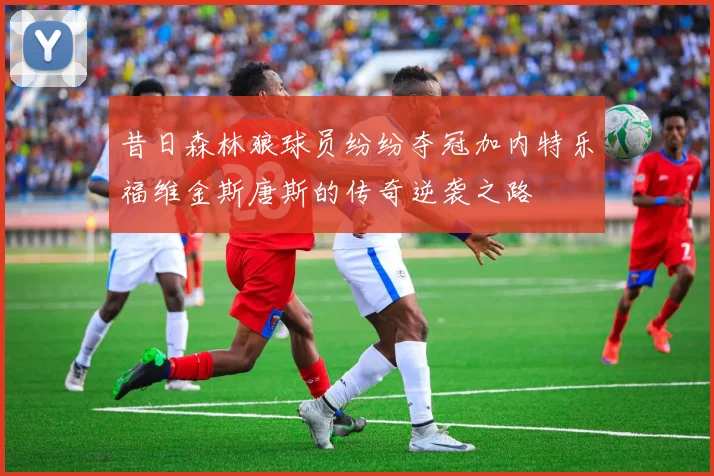 昔日森林狼球员纷纷夺冠加内特乐福维金斯唐斯的传奇逆袭之路