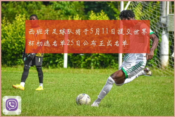 西班牙足球队将于5月11日提交世界杯初选名单25日公布正式名单